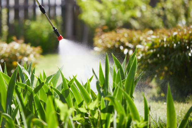 24/7 Emergency Wasp Removal experts in Donalsonville, GA