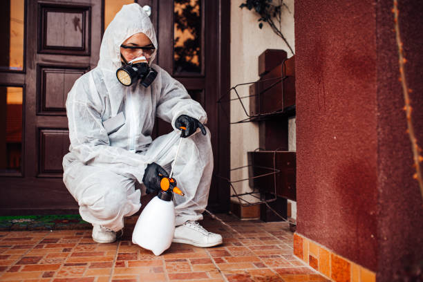 Reliable Wasp Removal contractor in Donalsonville, GA by Show Me Pest Control